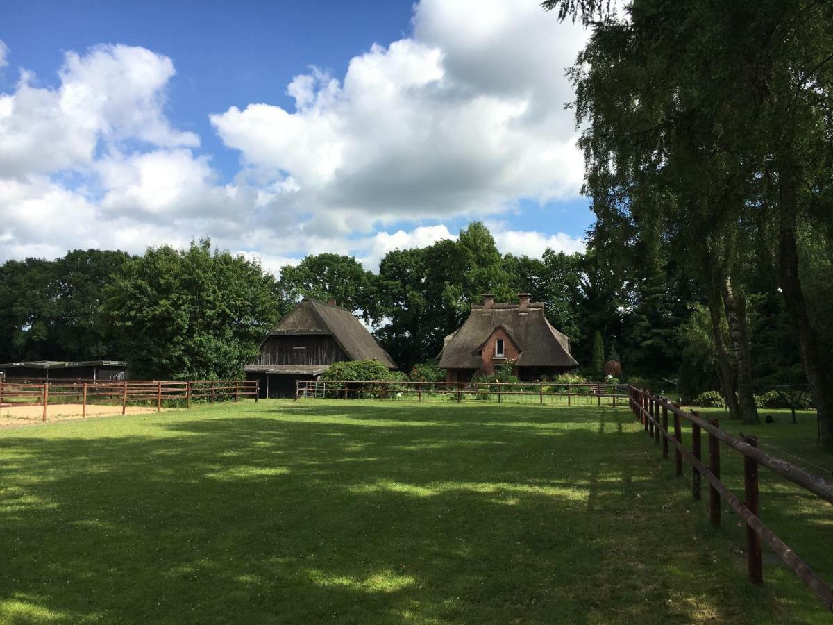 Huck'S Ferienhaeuser Borstel  Luaran gambar