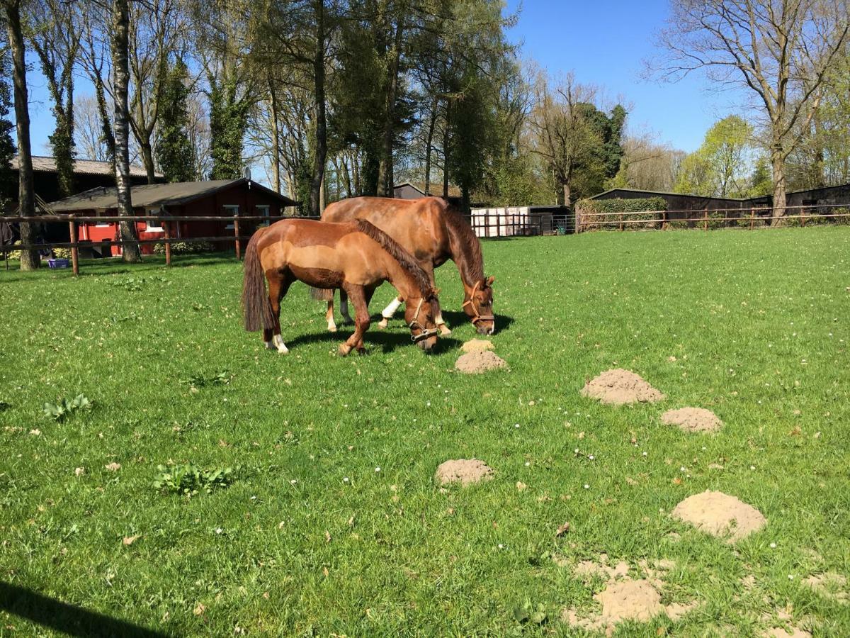 Huck'S Ferienhaeuser Borstel  Luaran gambar